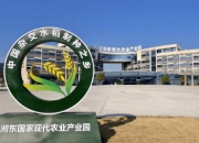 5G稻浪涌湘东：“智”种未来绘就农业新画卷