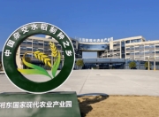 5G稻浪涌湘东：“智”种未来绘就农业新画卷